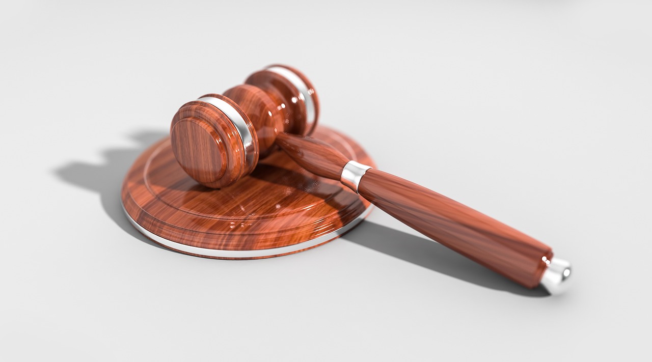 Navigating the Legal Landscape: When You Need an Animal Behavior Legal Expert